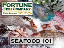 Seafood-101S M(1)