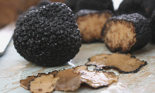 click here to read more about D'Artagnan Mushrooms & Truffles