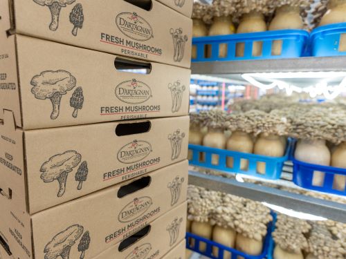 mycopia-gourmet-mushroomsdartagnan-boxes-in-front