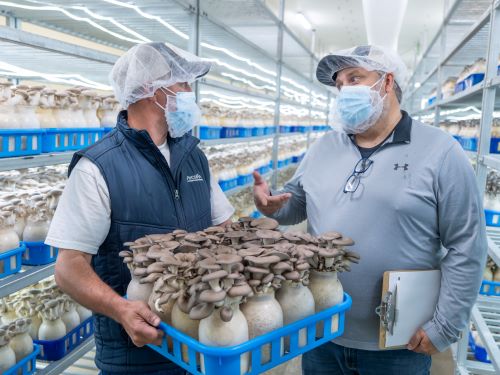 mycopia-gourmet-mushroomstwo-people-talking-while