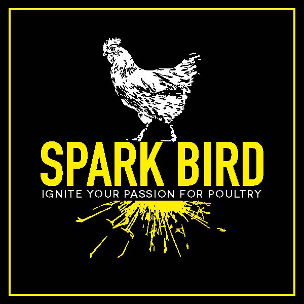 sparkbird2024glamourlogo-4x4