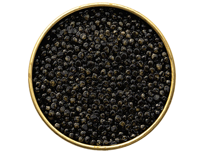 sterling-royal-caviar